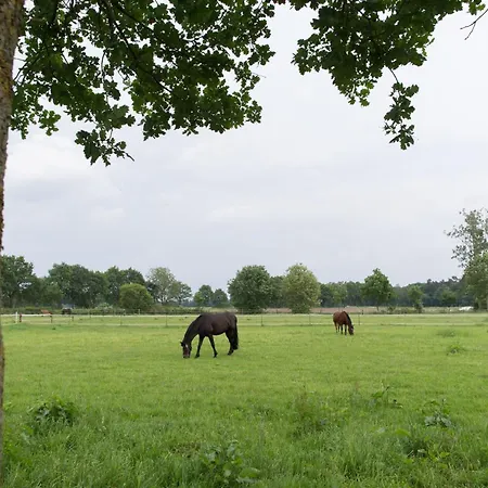 Landhuus Laurenz 호텔