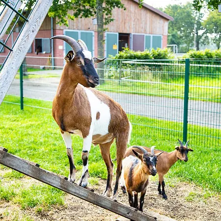 Landhuus Laurenz * 그로나우