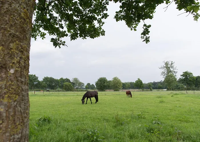 Landhuus Laurenz Hotel