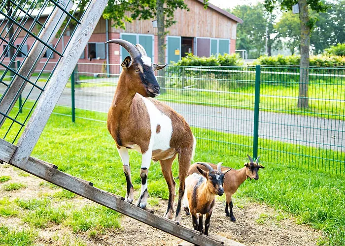 Landhuus Laurenz * Gronau (Westfalen)
